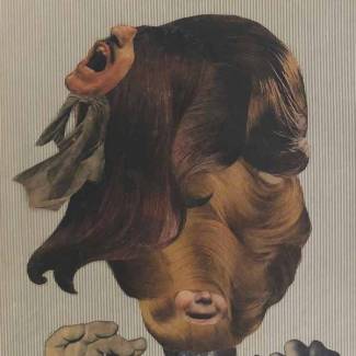 The Peacers, des pacifiques vivant sur la côte du Pacifique…