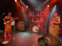 The 5.6.7.8.'s - Onweerstaanbare sixties garagerock en brutale surf