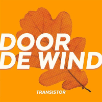 Door De Wind –single-