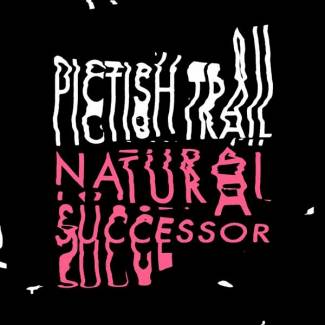 Pictish Trail et la revanche de la nature…