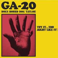 Does Hound Dog Taylor : Try It... You Might Like It ! 
