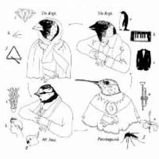 L’Opera de The Knife