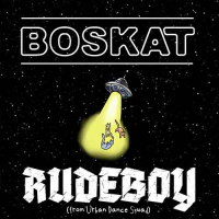 Boiler -single-