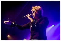The Psychedelic Furs - Jaren tachtig iconen geraken niet van onder het stof