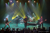 The Sheila Divine – 25 Y, Indie-Rock met een grote R en de puntjes op de ‘I’ … Uitbundig, krachtig, pakkend