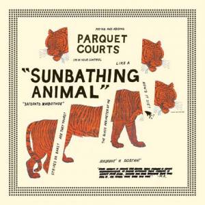 Sunbathing animal