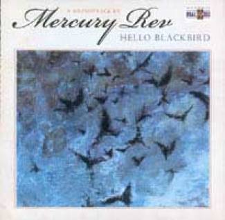 Hello Blackbird