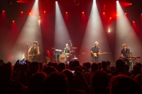 Nada Surf - Liefde, liefde overal