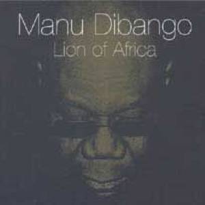 Lion Of Africa