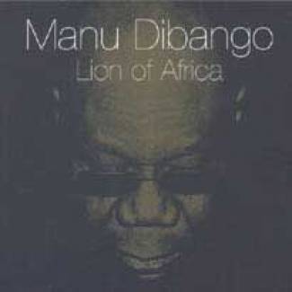 Lion Of Africa