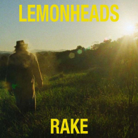 The Lemonheads rendent hommage à Townes Van Zandt