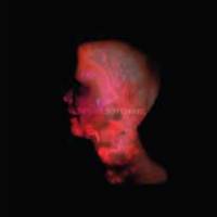 Du changement pour Cindy Wilson