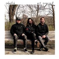Sebadoh toujours étonné