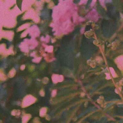 Not Cool -single-