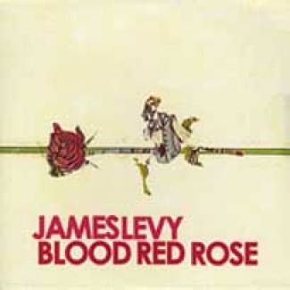 James Levy adoubé par Coldplay.