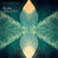 Le cirque de Bonobo
