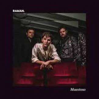 RAMAN - We zijn eigenlijk veel verschillende genres. Dat maakt het voor ons zo spannend