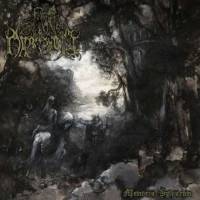 Memoria Sylvarum (reissue)