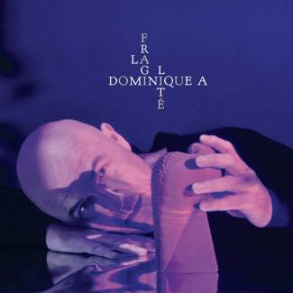 Les trous de mémoire de Dominique A …