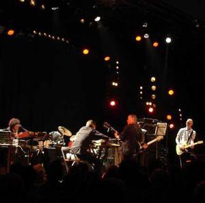 Swans - Meegezogen worden in de draaikolk van het giftige zwanenmeer