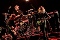 Blues Town 2025 - Dom Martin, The Bluesbones - Als gitaren konden praten?!