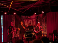 Not Mandatory – Heerlijk feestelijk divers