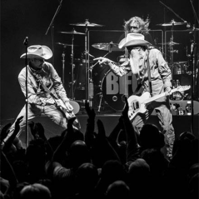 Chez Billy F Gibbons, la barbe n'est pas dans la gorge, mais la gorge est dans la barbe…