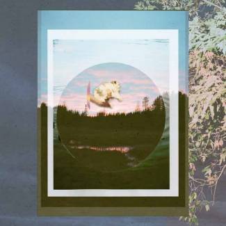 Wye Oak trace son chemin…