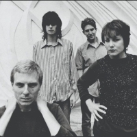 Un nouveau box pour The Dream Syndicate !