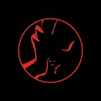 Une passion mise à nu !