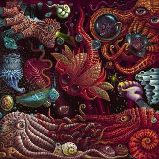 Octopussies Liquor Store