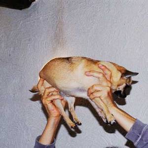 La classe internationale pour Kryptonica…