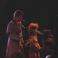 Zita Swoon: muzikaal entertainment