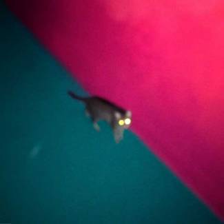 !!! compte frapper un grand coup !