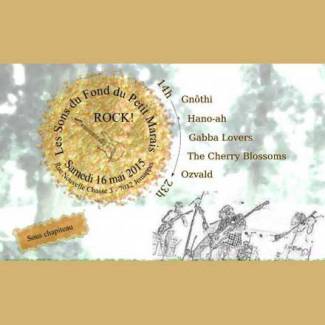Les Sons du Fond du Petit Marais 2015 : samedi 16 mai