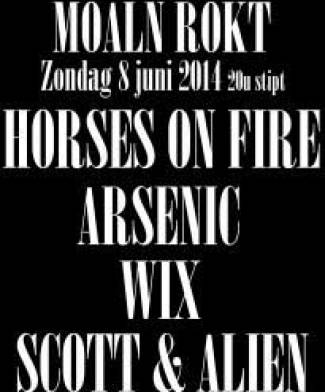 Moaln Rokt 2014 - Sympathiek mini festivalletje