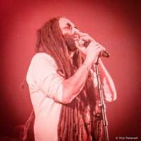 Alborosie - Een verjaardagsfeest in hogere sferen