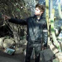 Un nouveau Beirut en août…