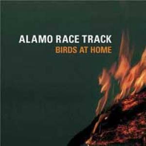 Birds At Home