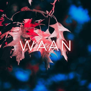 Waanzinnig -single-