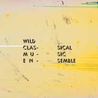 Wild Classical Ensemble, hors les murs.