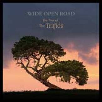 Un best of pour les Triffids