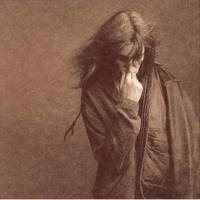 When A Dove Cries