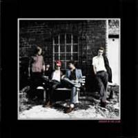 Palma Violets en danger.