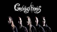 Growing Horns - Het is voor ons vooral belangrijk om shows te spelen die steeds beter worden, en op die manier met onze muziek meer mensen te bereiken