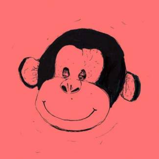 Jan Verstraeten rêve des tropiques…