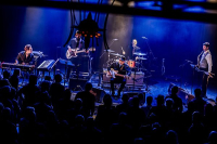 Blues Town 2025 - Duke Robillard - Swinging Saturday!