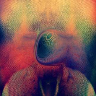 Melt (b)