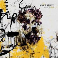 Mule Jenny a franchi les limites…