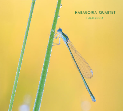 Nehalennia